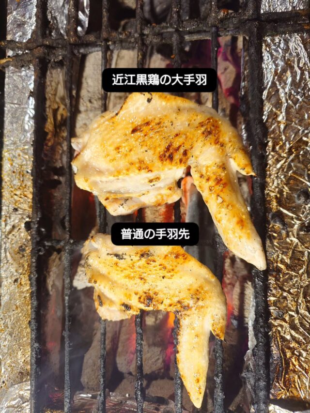 手羽先 vs 近江黒鶏 大手羽、どう違う？🔥⁡
⁡
見た目でまず違うのは「サイズ」。
写真上が通常の手羽先、
下が近江黒鶏の“大手羽”。
一回りどころか、別物レベルの大きさです👀⁡
⁡
【味の違い】
■ 手羽先
・皮がパリッと軽い食感
・脂はあるけどあっさり
・おつまみにちょうどいいバランス🍺
■ 近江黒鶏 大手羽
・肉厚でしっかり食べ応えあり
・脂の旨みが濃く、コクが強い
・地鶏ならではの弾力と旨み🔥⁡
⁡
同じ“手羽”でも、ここまで違います。
当店では近江黒鶏のみを使用しています。
ぜひ一度、この違いを味わってみてください🐔⁡
⁡⁡
⁡#やきとり屋日湖 #近江黒鶏 #手羽先 #滋賀県 #長浜市